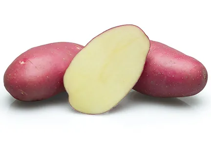 Faisalabad Red potato